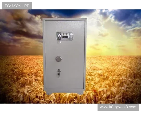 凯发k8手机版多平台兼容性与使用优势详解