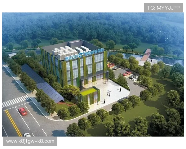 凯发k8官方网娱乐如何确保玩家资金安全与隐私保护的实用技巧