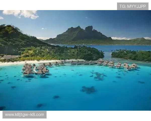 森林舞会老虎机单机版怎么玩才能获得高分，实用技巧与玩法策略全方位分享