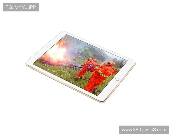 凯发K8首页登录入口安全保障措施与账号安全保护策略推荐